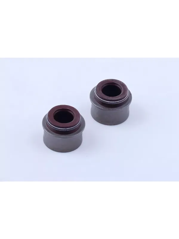 сальник клапана CG